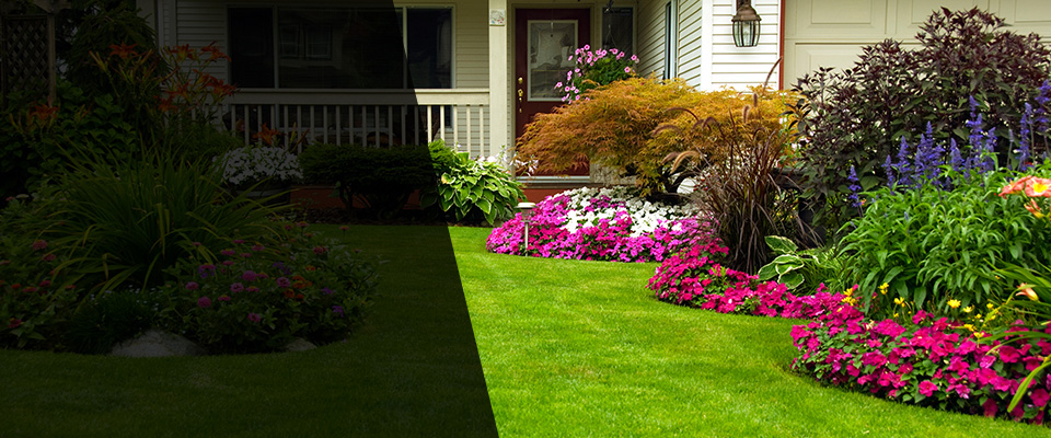 North Charleston Landscapers