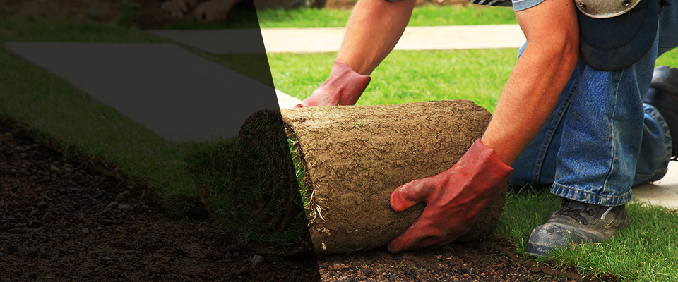 North Charleston Landscapers